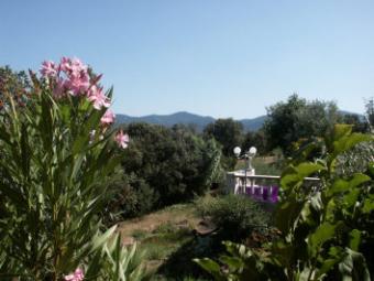 Saint Tropez 49 km Le Luc